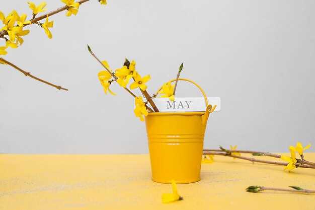 Кроме того, стоит отметить, что май — это время, когда многие выбираются на природу, организуют пикники и посещают различные мероприятия. Рекомендуем заранее планировать отдых с друзьями и семьей, чтобы максимально насладиться приходом весны. undefinedТакже в мае проходят различные культурные мероприятия и фестивали, приуроченные ко Дню единства народов Казахстана. Можно посетить концерты, выставки и другие интересные события, которые способствуют укреплению межнационального согласия и дружбы. <br />Не забывайте следить за афишами и новостями, чтобы не пропустить интересные события!