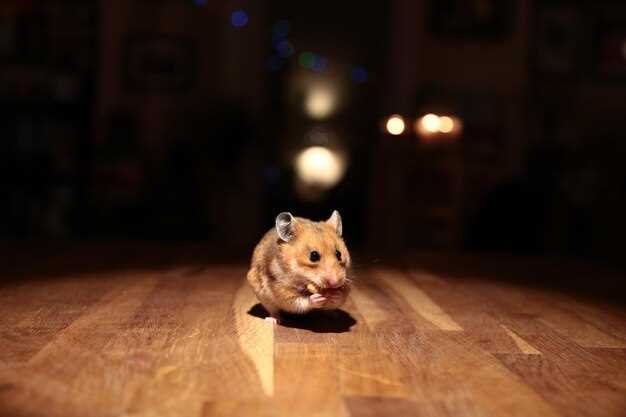 Основатель Telegram Павел Дуров поделился новостью о планах по внедрению Hamster Kombat в блокчейн TON в ближайшем будущем.