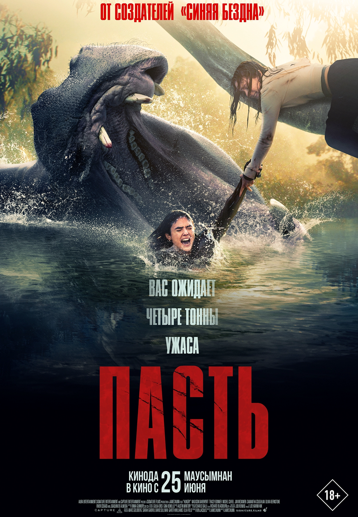 Пасть