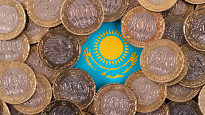 Казахстан: долгосрочная инвестиция в будущее — 46 миллиардов тенге на 12 лет, как семена в плодородной почве