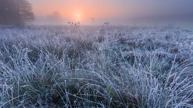 Казахстан: когда лето решило взять паузу и заморозить время