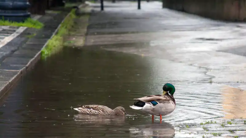 Гроза идёт на встречу: Астана и Алматы готовятся к дождливым объятиям июня