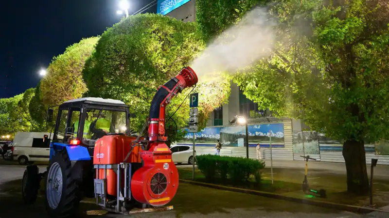 Алматинские деревья в защитном костюме: 2 миллиона зелёных стражей против вредителей