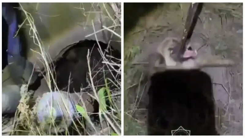 Дети-герои: как маленькие сердца спасли большую душу из подземного пленения