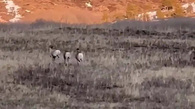 Кто знал, что закат может быть таким диким? Астане