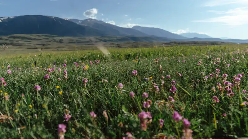 Жаркие дни в Астане и Алматы: как высокая температура повлияет на жизнь горожан? Астане