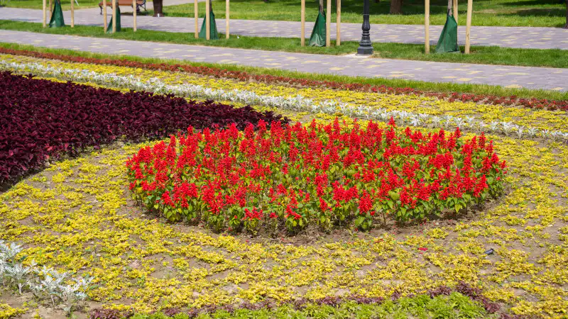 Астана и Алматы: жара продлится до 21 июня — синоптики прогнозируют высокие температуры Астане