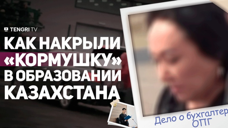 Школьные бухгалтеры: как классная комната превратилась в кассу для миллиардов