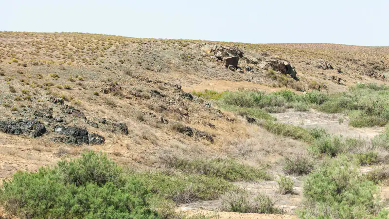 Казахстан в вихре стихии: когда пыль танцует, а шквалы поют Астане