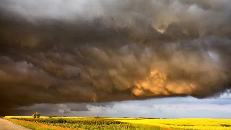 Лето в Астане и Алматы: дождь или солнце? Астане