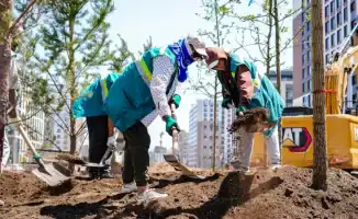 Астана готовится к преображению: благоустройство улиц начнется с 1 ноября по инициативе Акима Жениса Касымбека