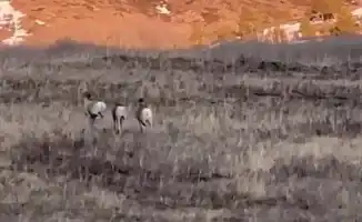 Кто знал, что закат может быть таким диким?