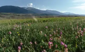 Жаркие дни в Астане и Алматы: как высокая температура повлияет на жизнь горожан?