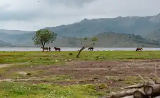 Астана и Алматы: жаркие дни с 21 по 23 июня — готовьтесь к летней аномалии!