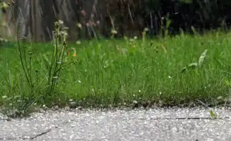 Синоптики предупреждают: сильные грозы и град ожидаются в Казахстане 26-28 июня из-за надвигающегося циклона