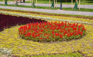 Астана и Алматы: жара продлится до 21 июня — синоптики прогнозируют высокие температуры