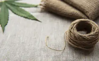 Зеленый свет под строгим контролем: Казахстан запускает новый этап в мире конопли