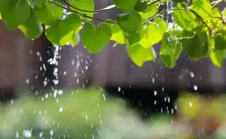 Летние капризы: когда солнце прячется за облаками, а ветер шепчет о дожде