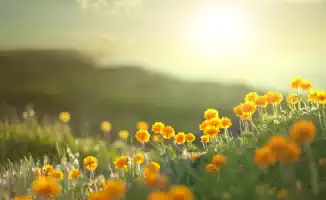 Горожане готовятся к резким перепадам температуры: как справиться с жарой и холодом в Астане и Алматы?