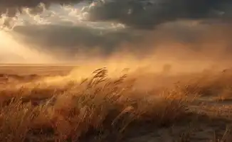 Казахстанцы готовятся к стихии: грозы и град на фоне жары вызывают опасения