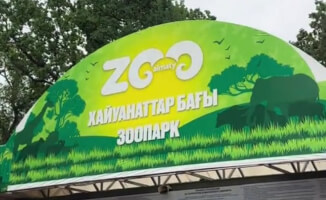 Зоопарк в Алматы: когда толпа людей стала диким зверем на штрафной арене