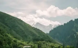 Алматы: сотни гектаров горной земли возвращены в государственную собственность после скандала 2023 года