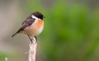 Смягчение зноя: как предстоящие изменения погоды повлияют на жизнь в Астане и Алматы