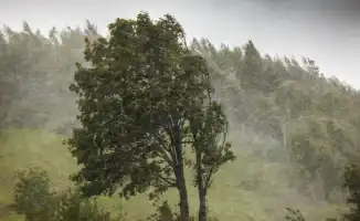 Летнее равноденствие: Казахстан в танце стихии — от зноя до града за один день!