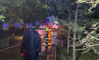 Из пепла в уют: временное убежище для астанчан в гостиничных гнездах