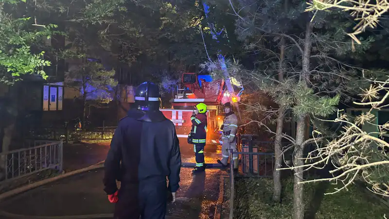 Из пепла в уют: временное убежище для астанчан в гостиничных гнездах Астане