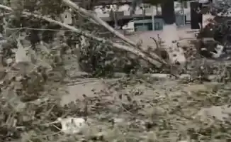 Ураган в Аксу: ветер перемен для акима и его команды