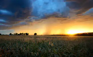 Гроза и дожди в Алматы: неустойчивая погода 1 июля