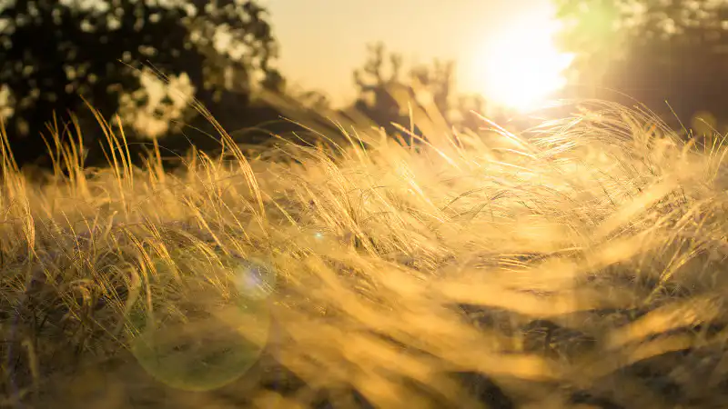 Синоптики прогнозируют возвращение 40-градусной жары в Казахстан: что ожидать 7-9 августа Астане