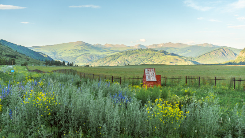 Аномальная жара до +40 накроет Казахстан 27 августа Астане