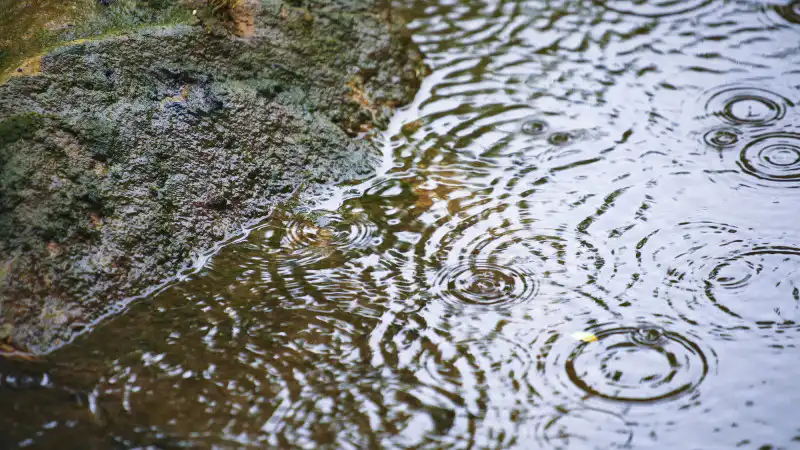Синоптики предупреждают о дожде и грозах в десятках городов Казахстана: ожидаются шквалы и град, в то время как на юге страны сохранится жаркая погода в субботу. Астане