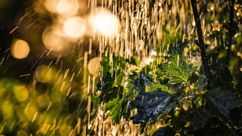 Казахстан в объятиях стихии: 29 июля — день, когда небо решило устроить водяной балет под аккомпанемент ветра Астане