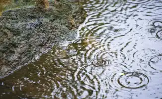 Синоптики предупреждают о дожде и грозах в десятках городов Казахстана: ожидаются шквалы и град, в то время как на юге страны сохранится жаркая погода в субботу.