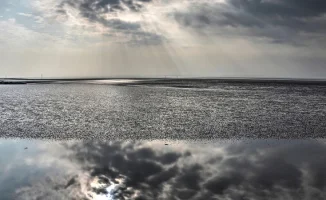 Сильные дожди и шквалы в Казахстане 23 августа: возможные последствия для сельского хозяйства и инфраструктуры