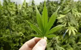 Россия экстрадировала наркоторговца в Казахстан: скрывался более 6 лет по запросу Генеральной прокуратуры