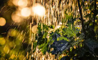 Казахстан в объятиях стихии: 29 июля — день, когда небо решило устроить водяной балет под аккомпанемент ветра