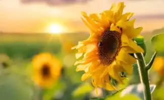 Казахстан в огне и молнии: как природа устроит летний спектакль 28 июля