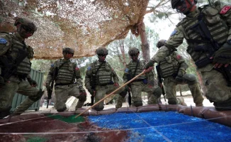 Турецкие военные могут отправиться в Украину с миротворческой миссией при выполнении условий