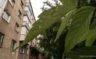 Казахстан в объятиях зноя: когда солнце танцует с грозами под небесами августа