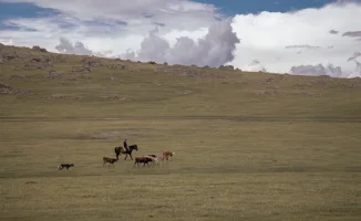 Жара до +38°C и грозы с градом: Казахстан готовится к погодным сюрпризам 26 августа