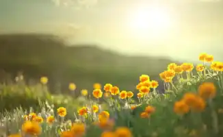 Казахстан готовится к жаре и грозам: дожди с градом могут повлиять на сельское хозяйство и инфраструктуру