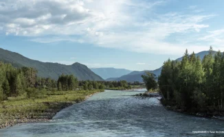 Климатические контрасты в Казахстане: от жары на юге до дождей на севере 29 августа