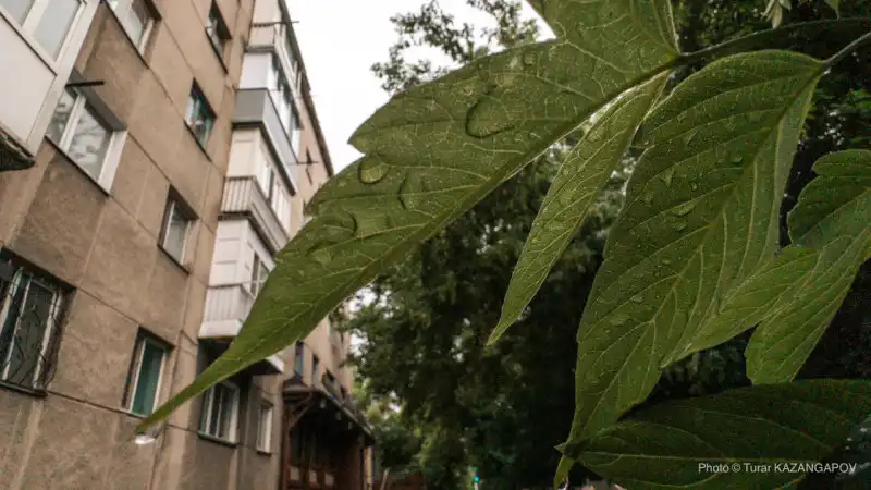 Казахстан в объятиях зноя: когда солнце танцует с грозами под небесами августа Астане