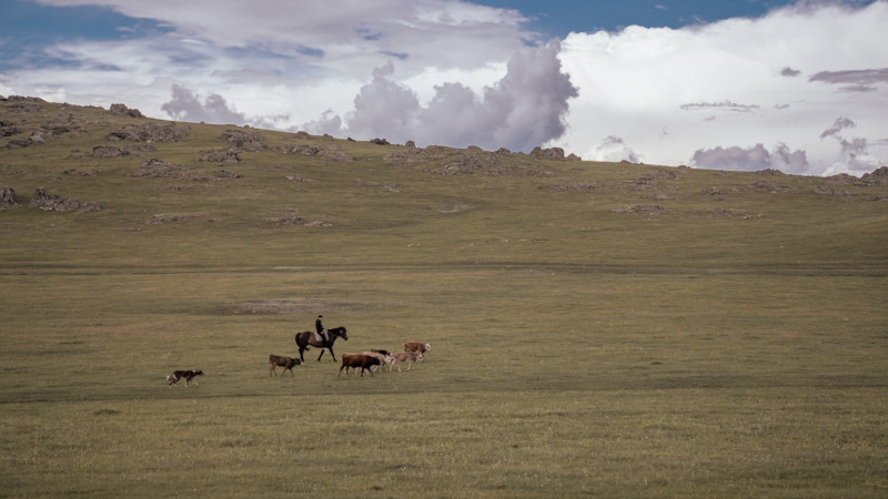Жара до +38°C и грозы с градом: Казахстан готовится к погодным сюрпризам 26 августа Астане