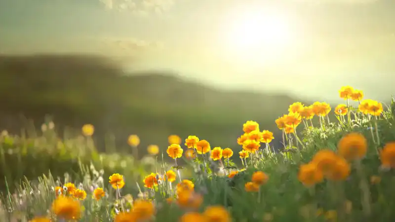 Казахстан готовится к жаре и грозам: дожди с градом могут повлиять на сельское хозяйство и инфраструктуру Астане