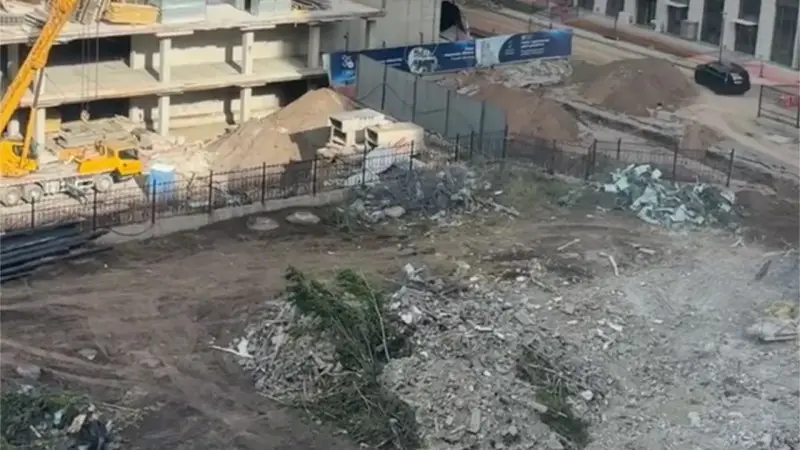 Астанчане протестуют против вырубки деревьев ради строительства: общественное недовольство растет Астане